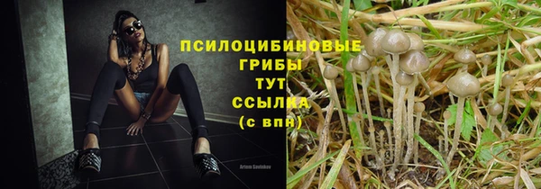 a pvp Алзамай