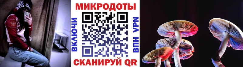 Галлюциногенные грибы мухоморы  как найти закладки  блэк спрут   Буй 