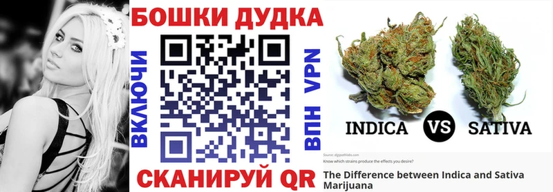 даркнет сайт  Буй  МАРИХУАНА SATIVA & INDICA 